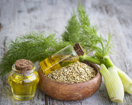 Venkel: een natuurlijke boost voor je spijsvertering