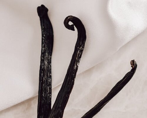 Vanille poeder: een veelzijdige smaakmaker voor elke keuken