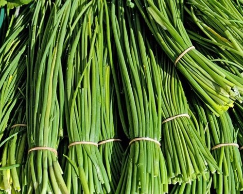 Wat is bieslook en hoe gebruik je het in de keuken?