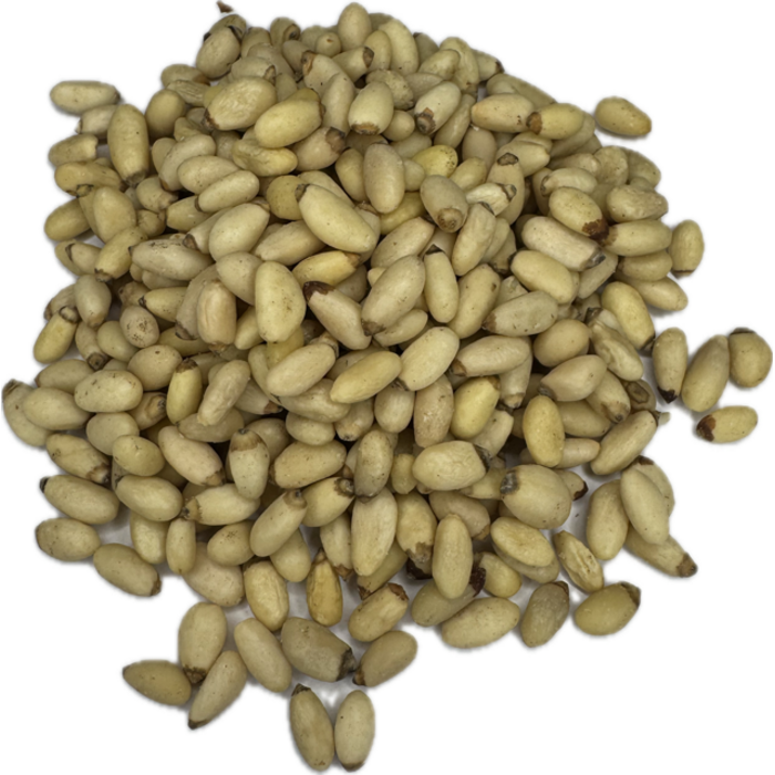 Pijnboompitten Yunnanensis