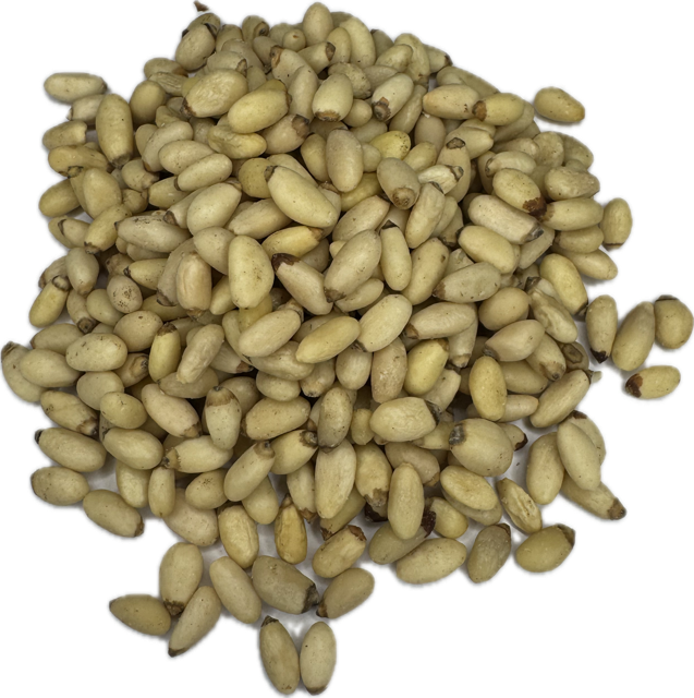 Pijnboompitten Yunnanensis