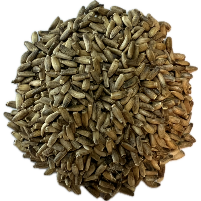 Mariadistelzaad Heel