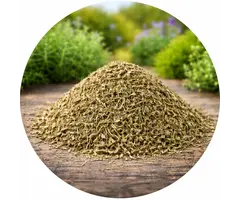 Tijm gesneden Holland