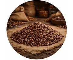 Paradijszaad of Maniquette peper