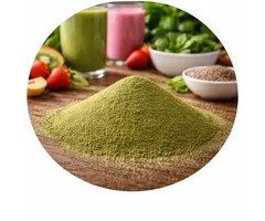 Stevia groen gemalen