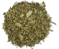 Stoombad kruidenthee