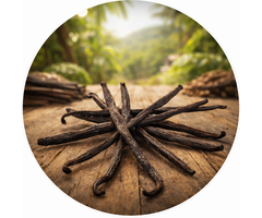 Vanillestokjes Bourbon Premium Gold