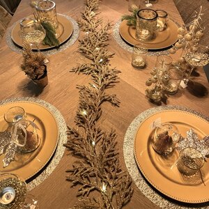 Kerst Guirlander met licht