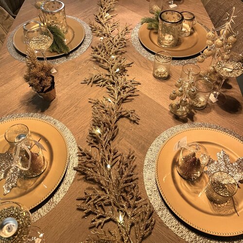 Kerst Guirlander met licht