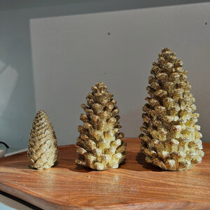 Dennenappel Goud