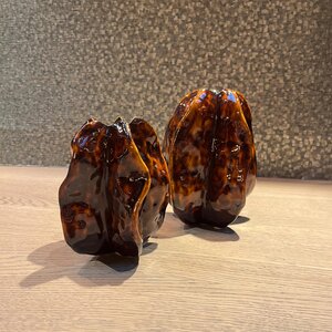 Vaasjes Orange
