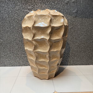 Vaas Beige Glans L