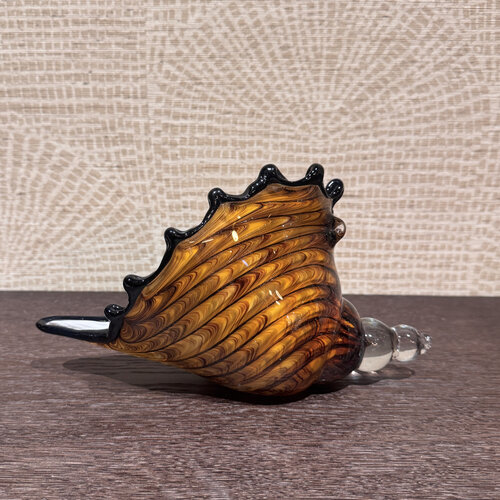 Schelp Decoratie Glas L