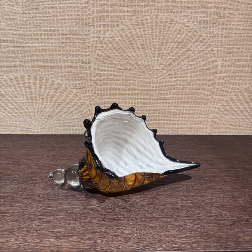 Schelp Decoratie Glas L