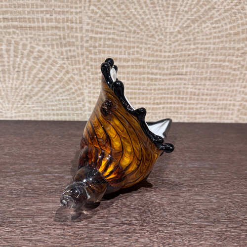 Schelp Decoratie Glas L