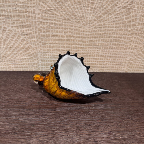 Schelp Decoratie Glas M