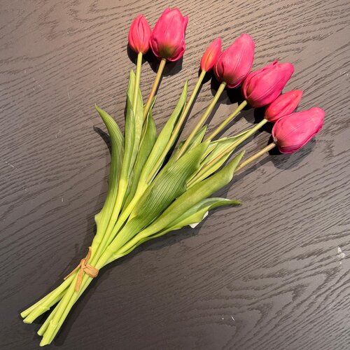 Tulp bosje, fel roze