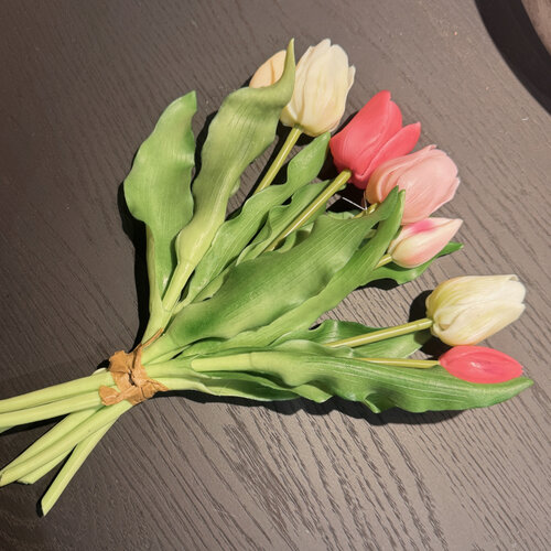 Tulpen Bos Multi Colour Roze