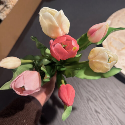 Tulpen Bos Multi Colour Roze