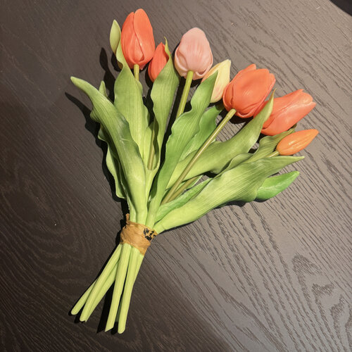 Tulpen Bos Multi Colour Peach