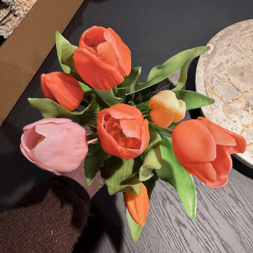 Tulpen Bos Multi Colour Peach