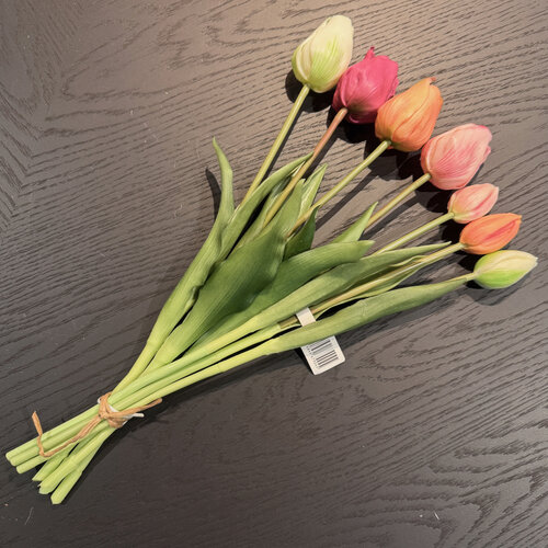 Tulpen bos Multi Colour