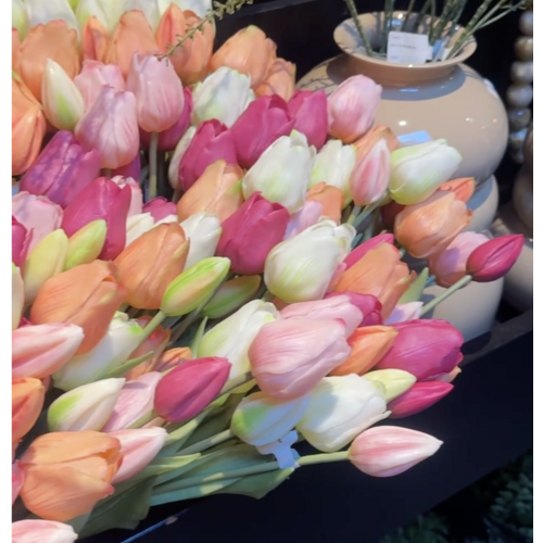 Tulpen bos Multi Colour