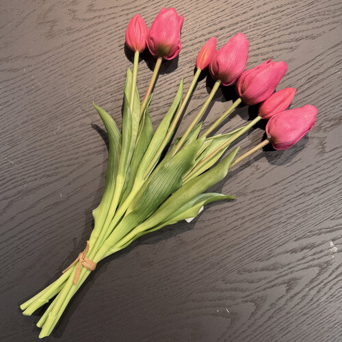 Tulpen  bosje, fel roze