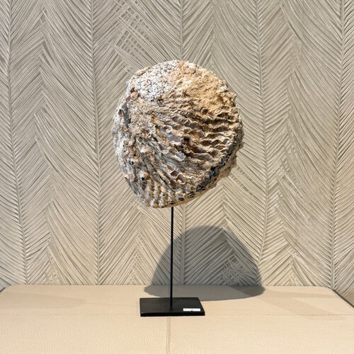 Schelp op voet Grof beige