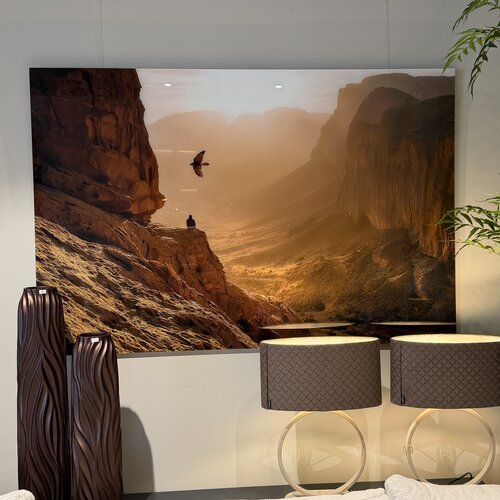 Wandschilderij Plexiglas
