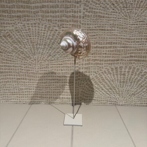 Schelp op standaard