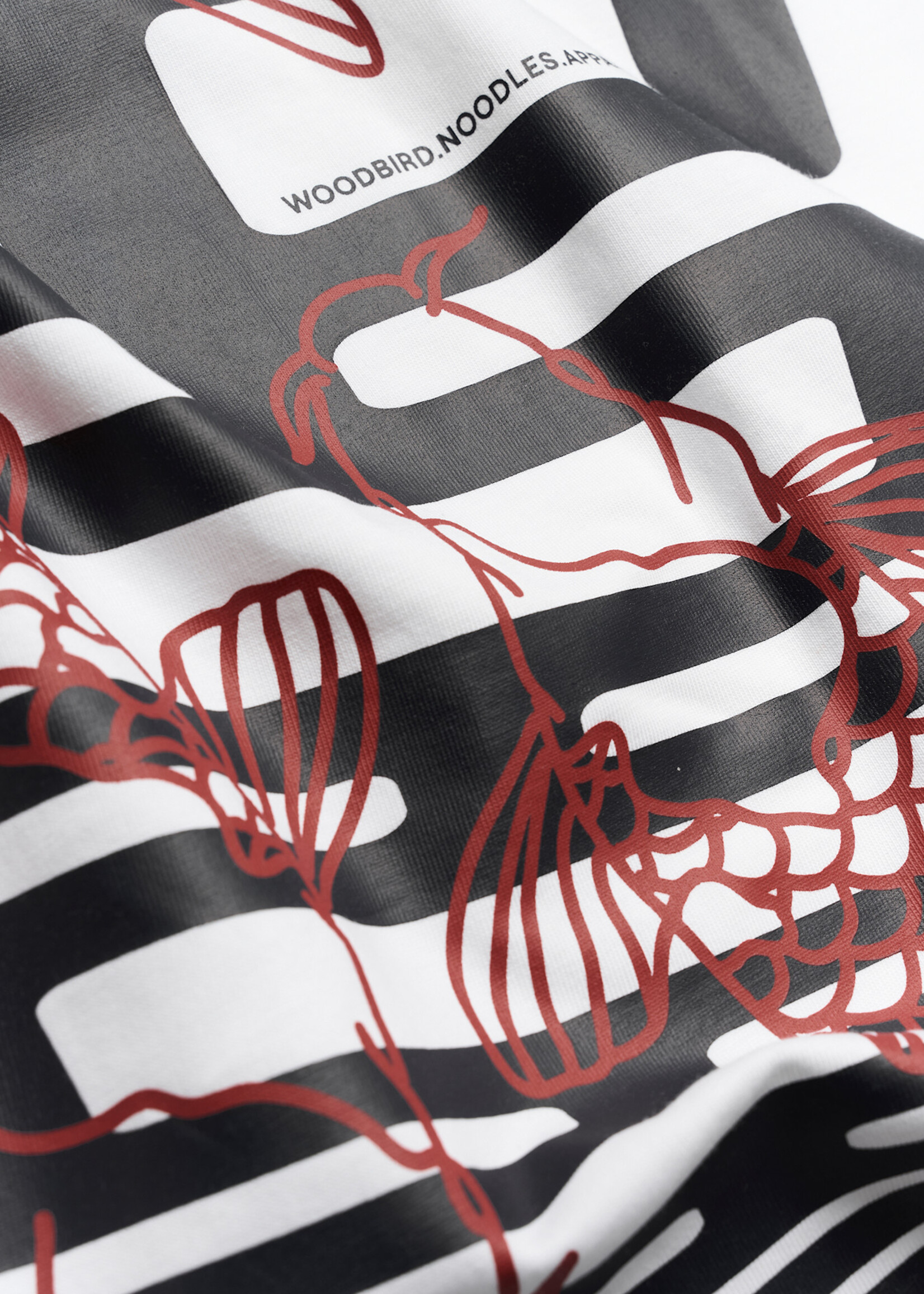 Woodbird WBBaine Carp Tee