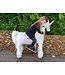 MY PONY, riding toy unicorn from ROLLZONE ®, 4 - 10 years (MP2002-M)
