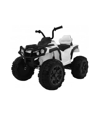 12 volt elektrisk quad
