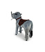 MY PONY ®, Elephant riding toy 3 - 6 years (ATS2011)
