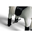 MY PONY, ridelegetøjshest fra ROLLZONE®, 3 - 6 år (MP2042-S)