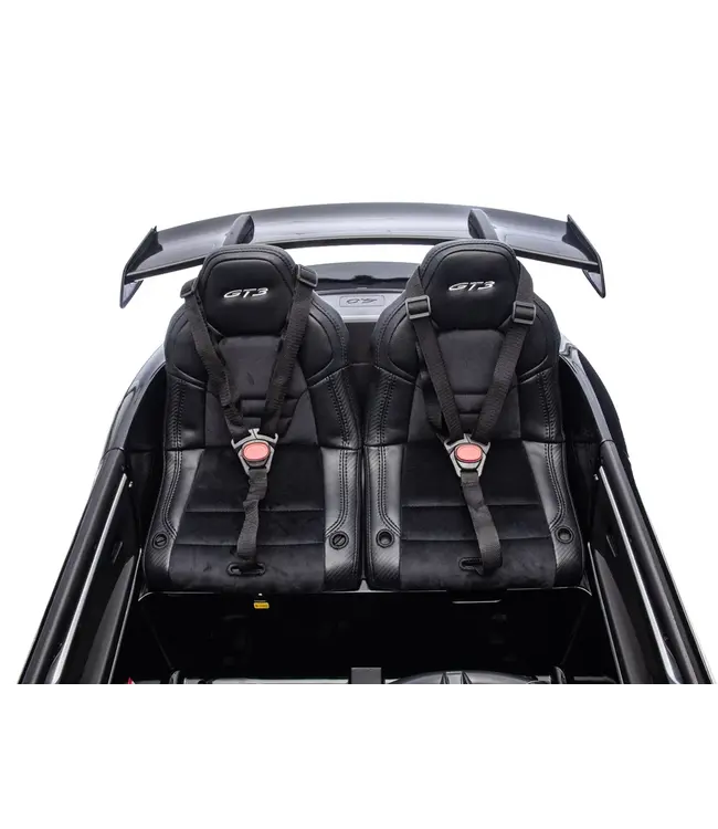 Porsche 911 GT3 – Variante Pro (2 plazas)