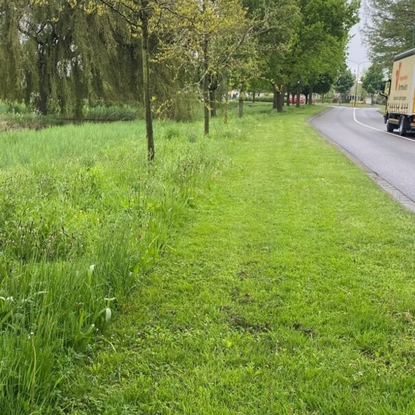 Advanta Bermo 3 | Dijken & Slootkanten