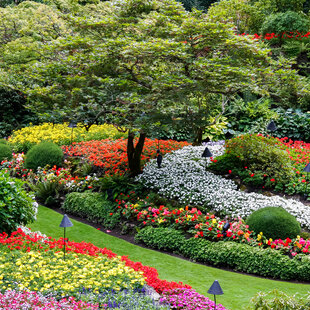 22 & 23 maart 2025 | Lezingen botanische tuinen