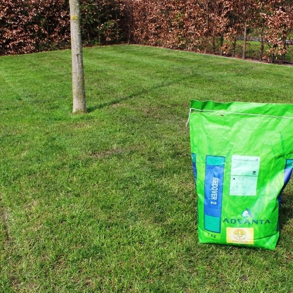 Advanta Recover 2 | Gazonherstel