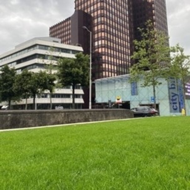 Advanta Parken 1 | Openbaar Groen