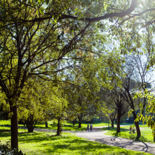27 maart 2025 | Netwerkavond: 'Landscapes & Urban Design Connected'