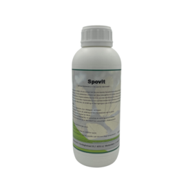 Spovit | Ascophyllum nodosum