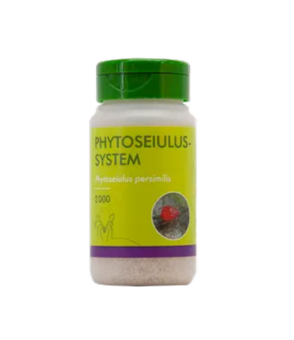 Innogreen Roofmijt tegen Spint (indoor) | Phytoseiulus-System