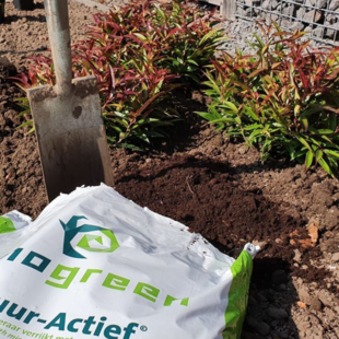 Aanplant advies basis