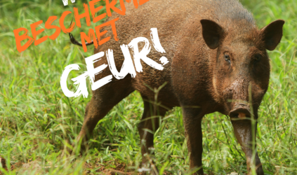 Wild beschermen met Geur!