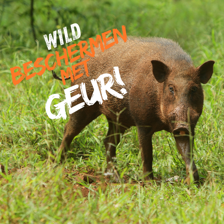 Wild beschermen met Geur!