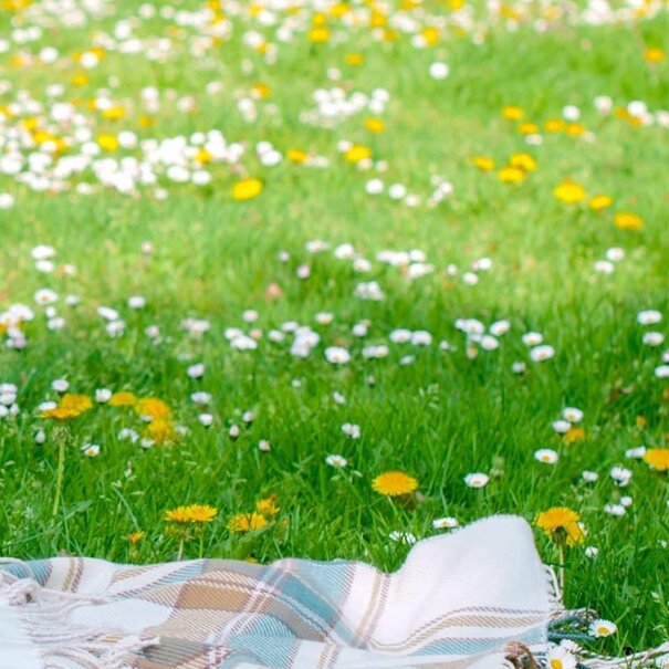 Advanta EcoGazon | Openbaar groen & particuliere tuinen