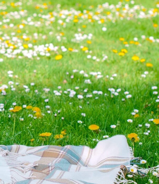 Advanta EcoGazon | Openbaar groen & particuliere tuinen