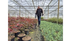 Innogreen meststoffen voor de plant- en boomkwekerij